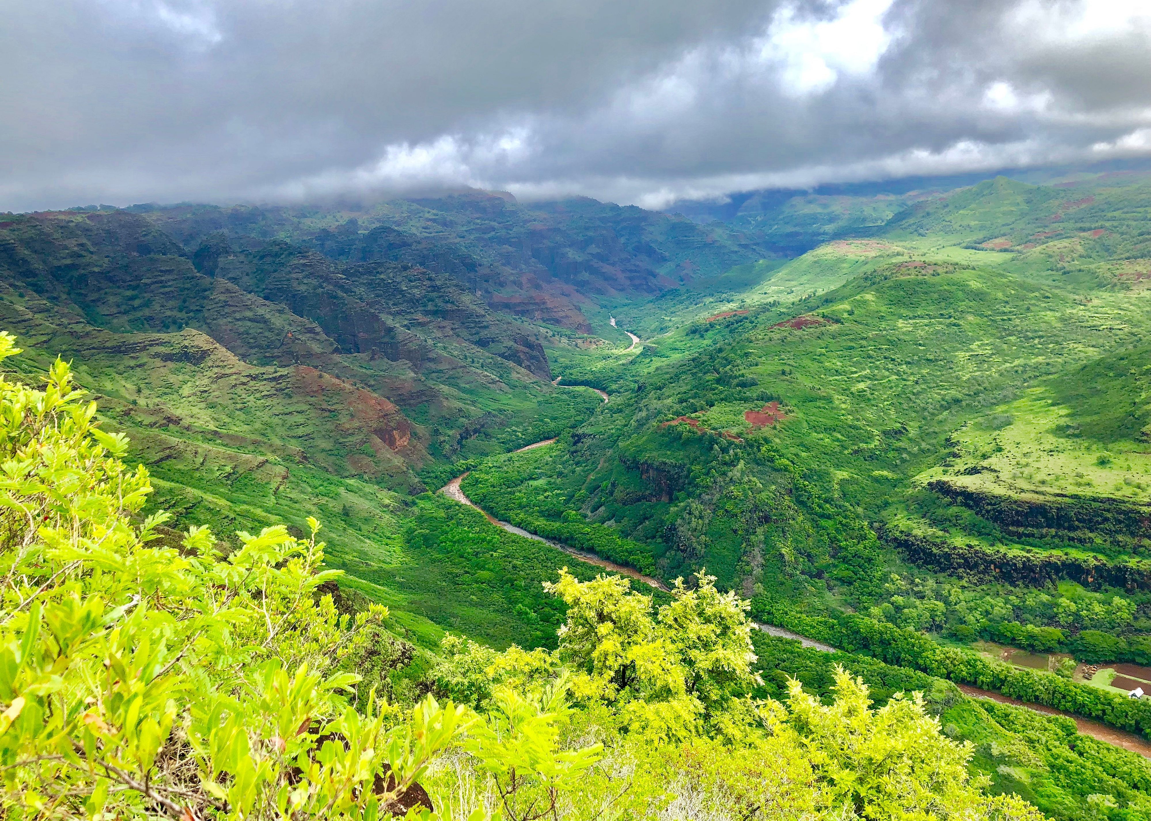 #1. Waimea Canyon State Park