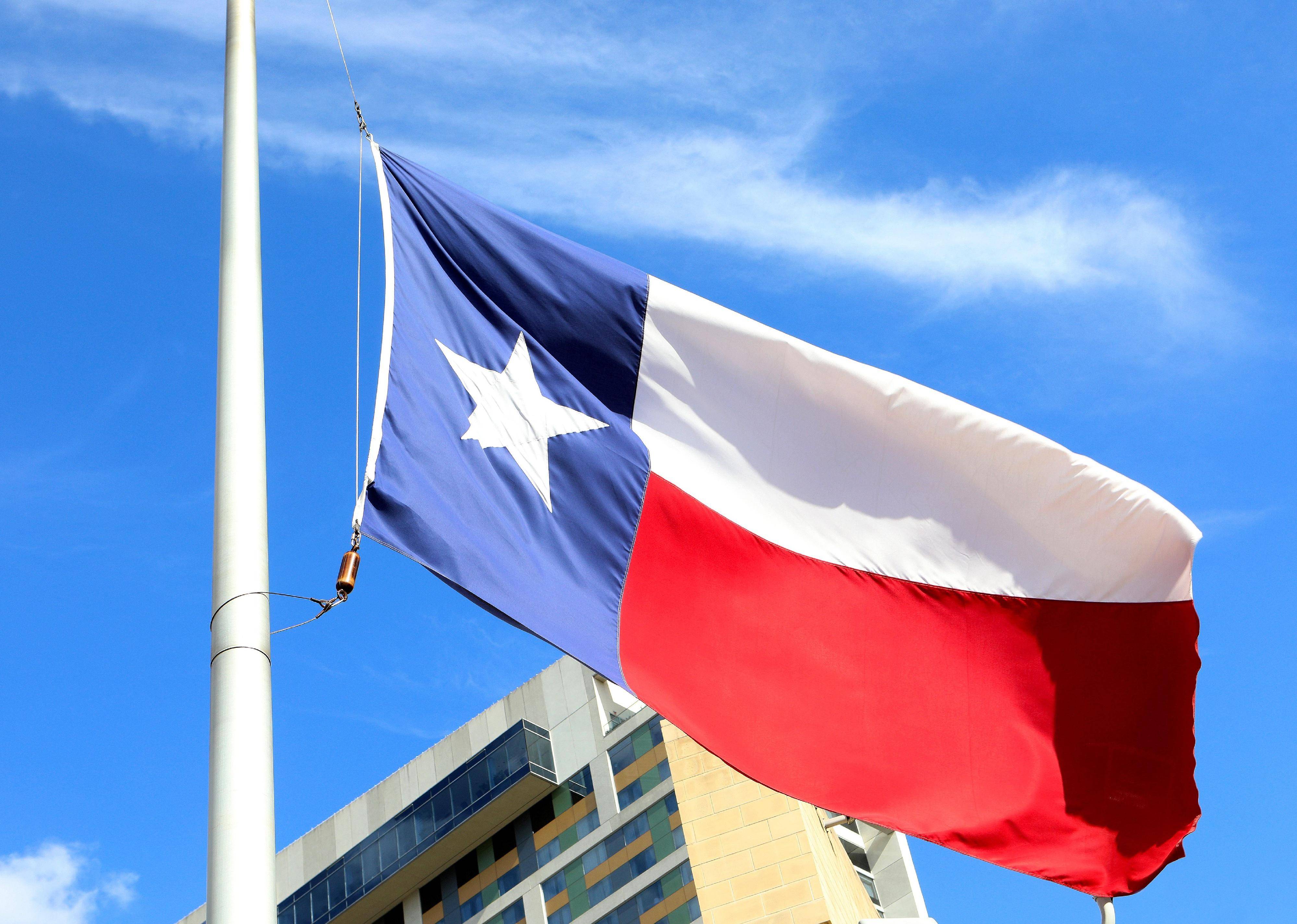 Flag #43