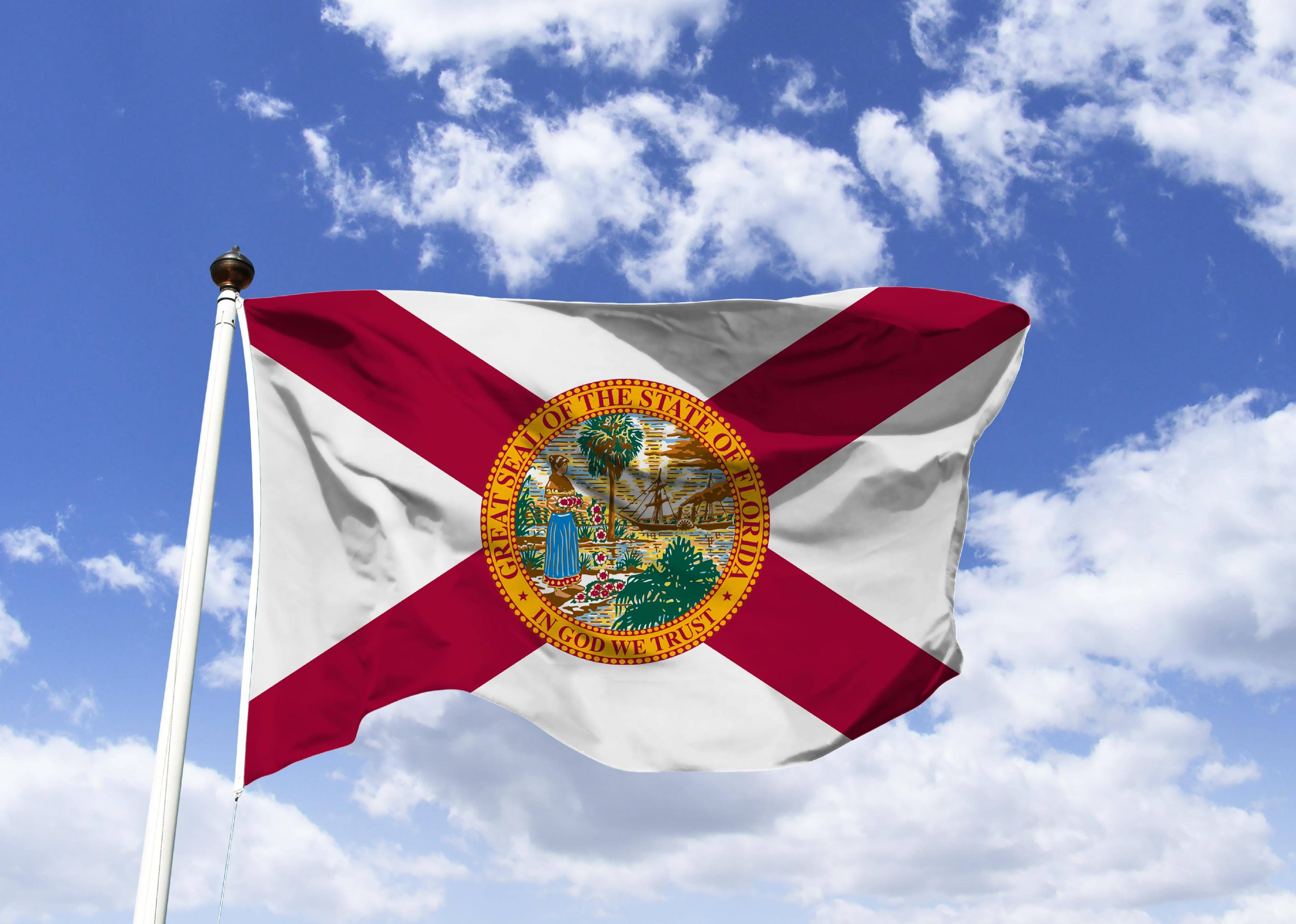 Flag #9