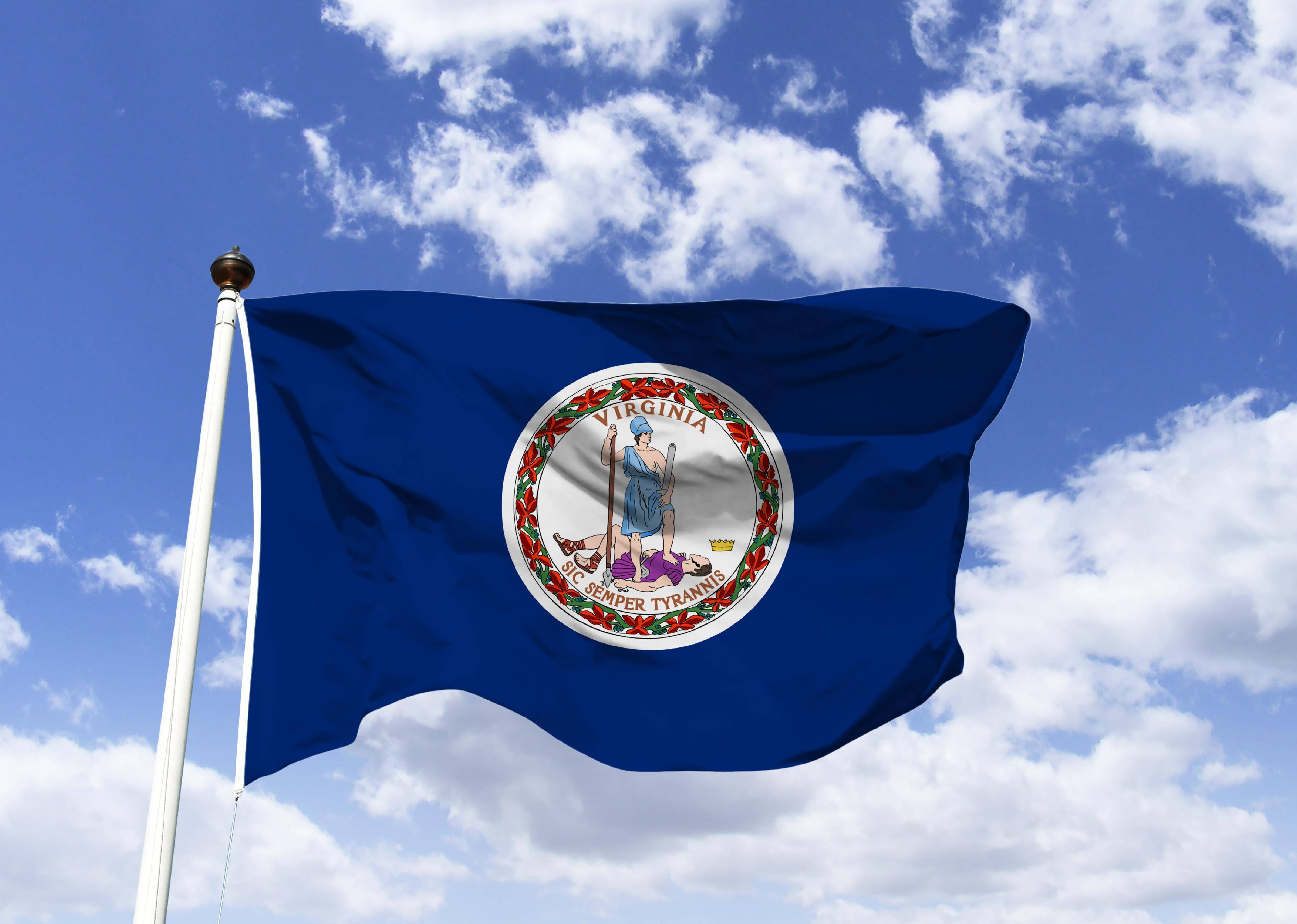 Flag #46
