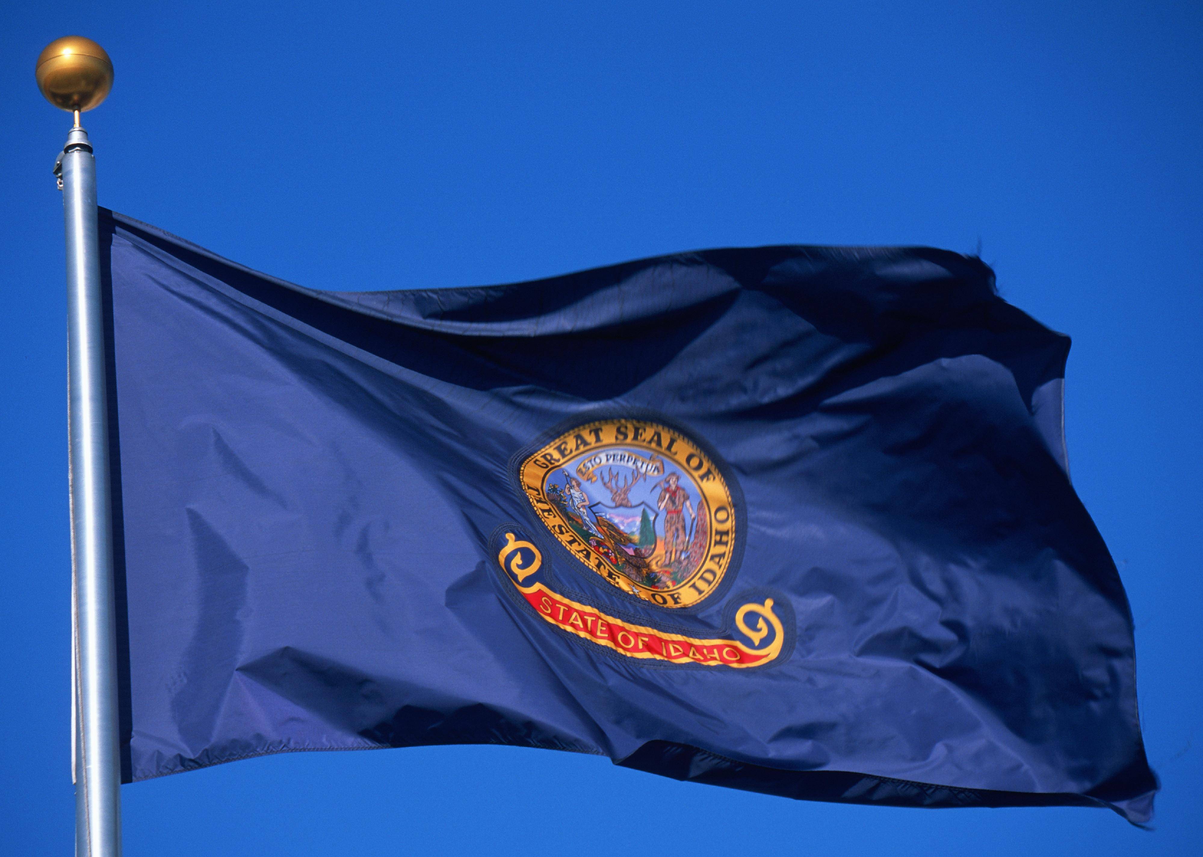 Flag #12