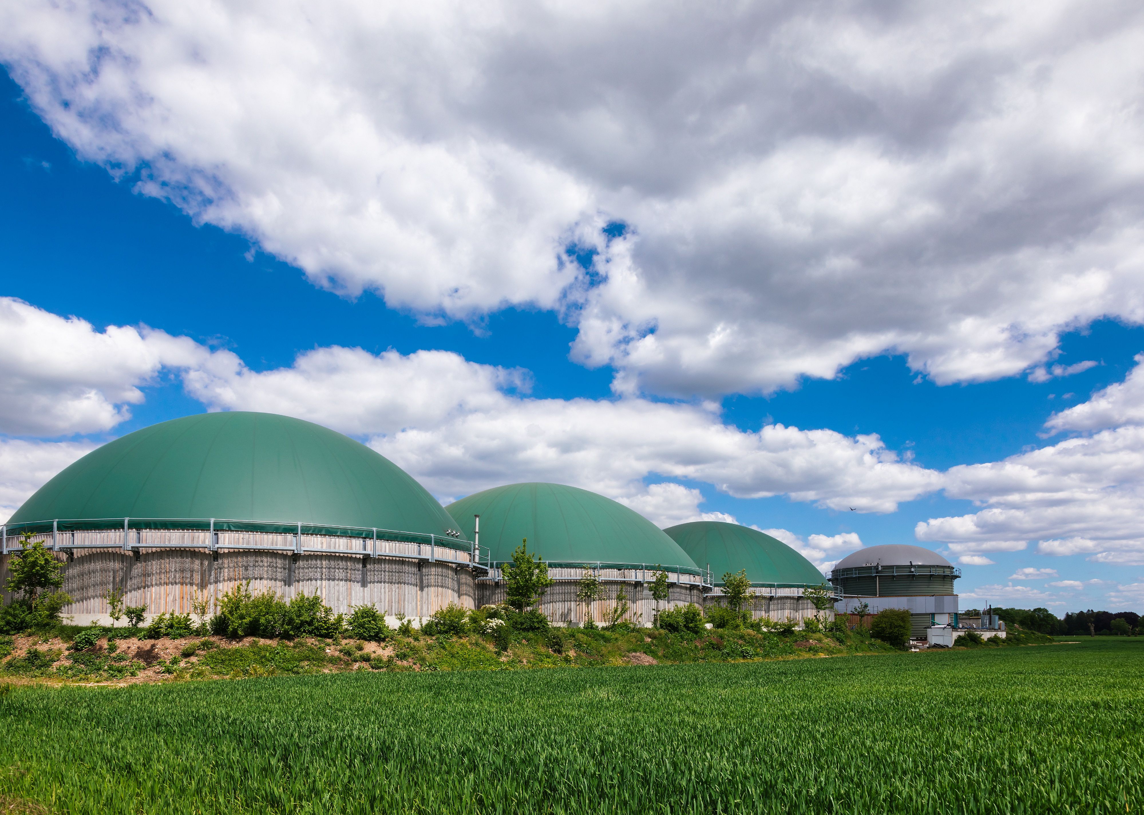 #4. Codigestion/anaerobic digestion