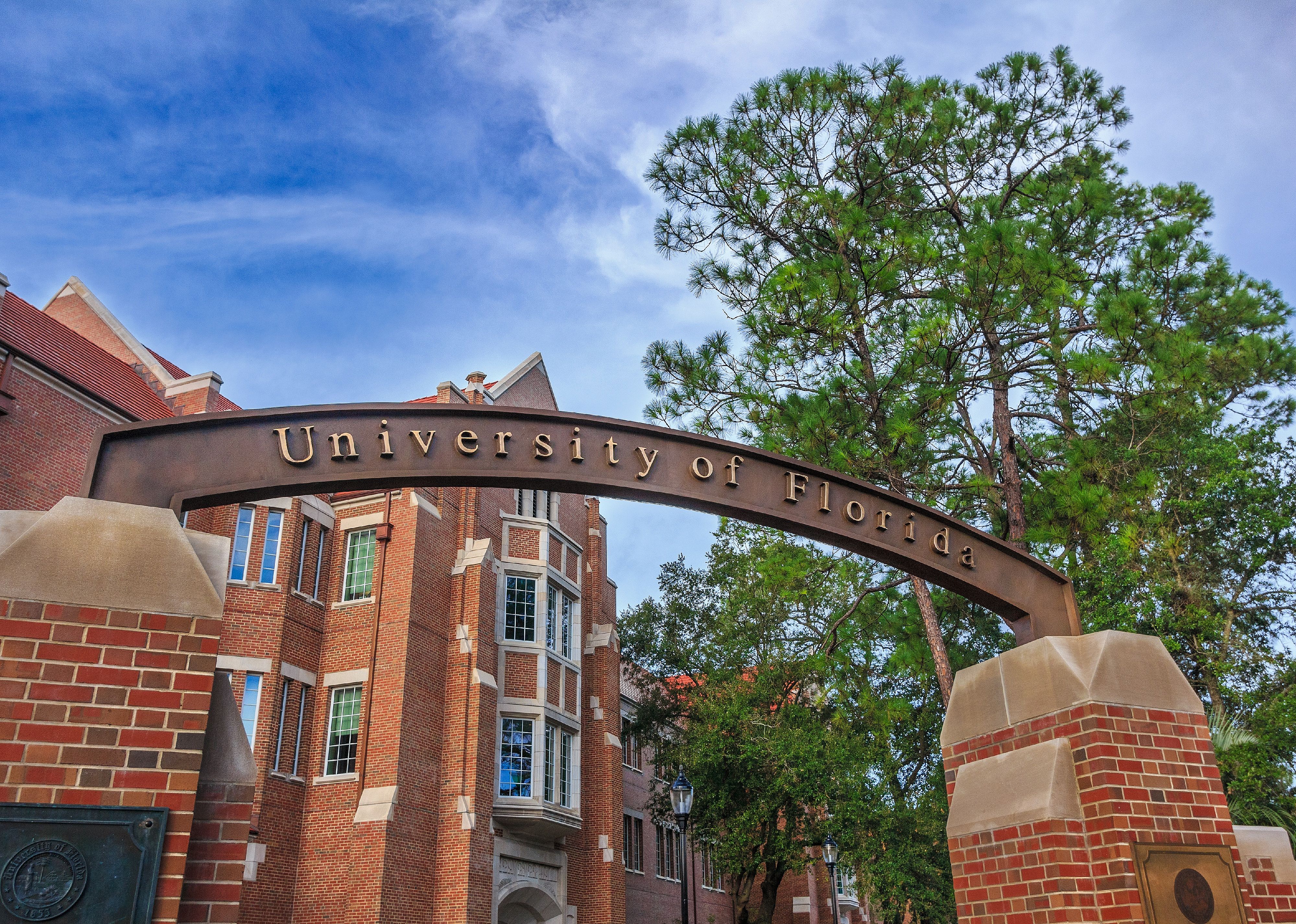 Florida: University of Florida-Online