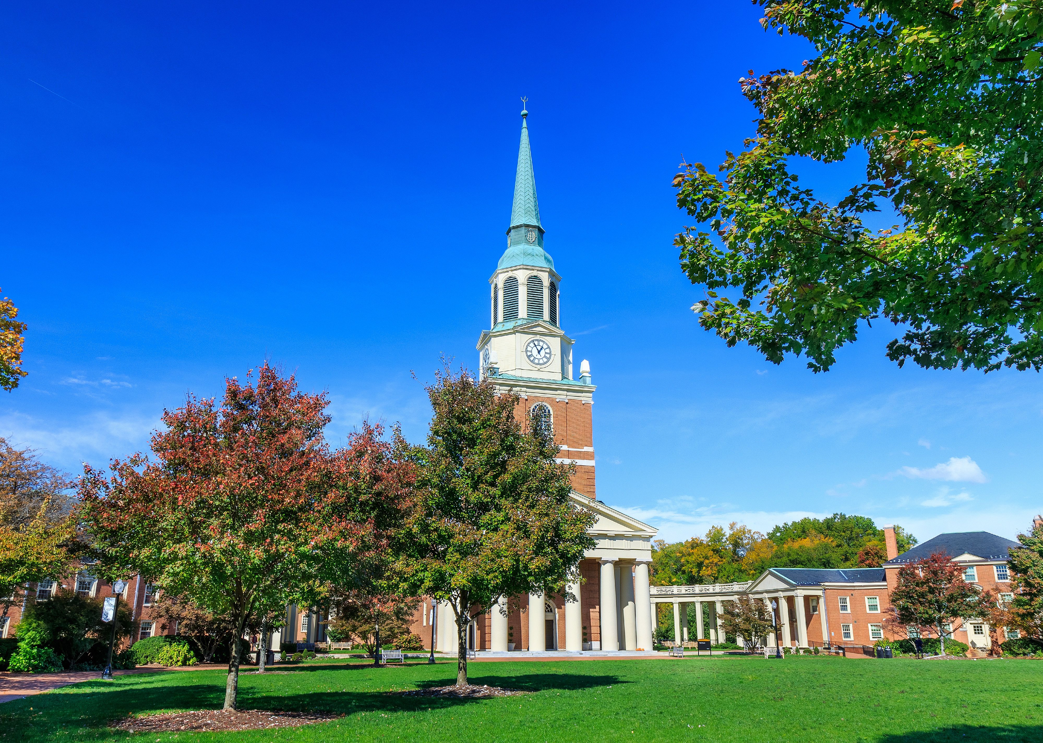 #40. Wake Forest University
