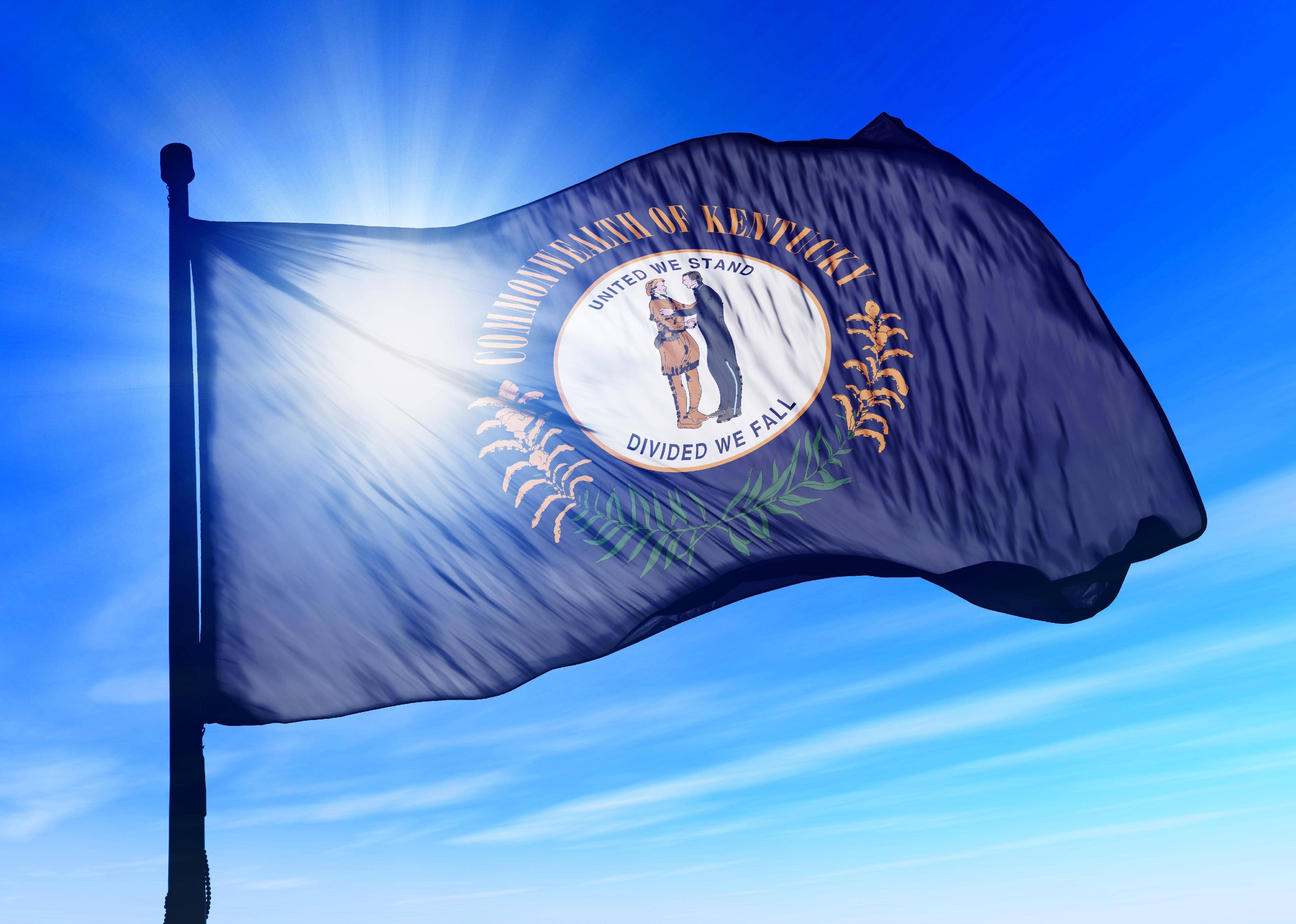 Flag #17