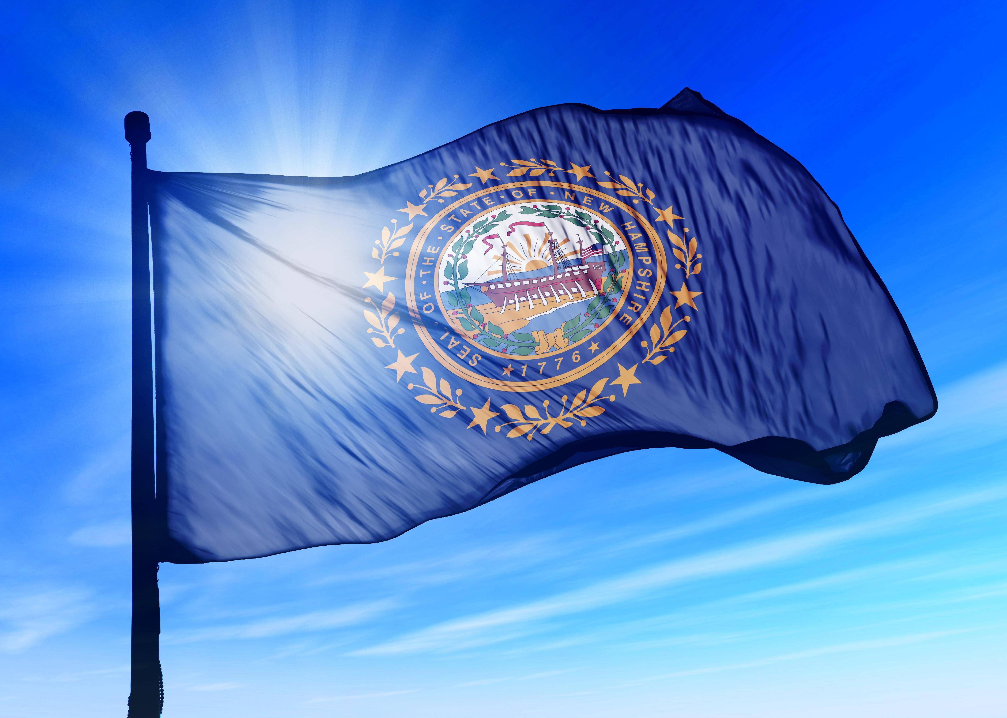 Flag #29