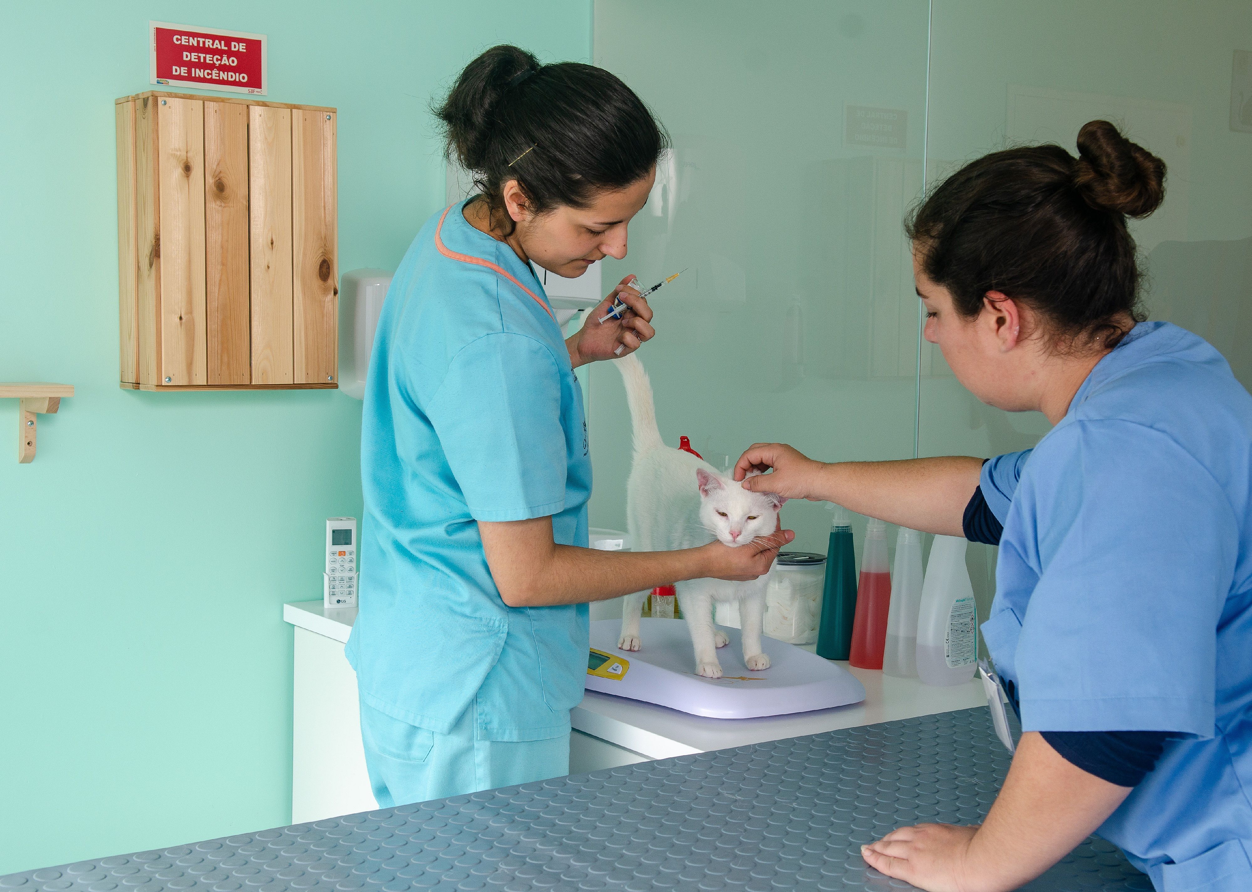 #15. Veterinary technology