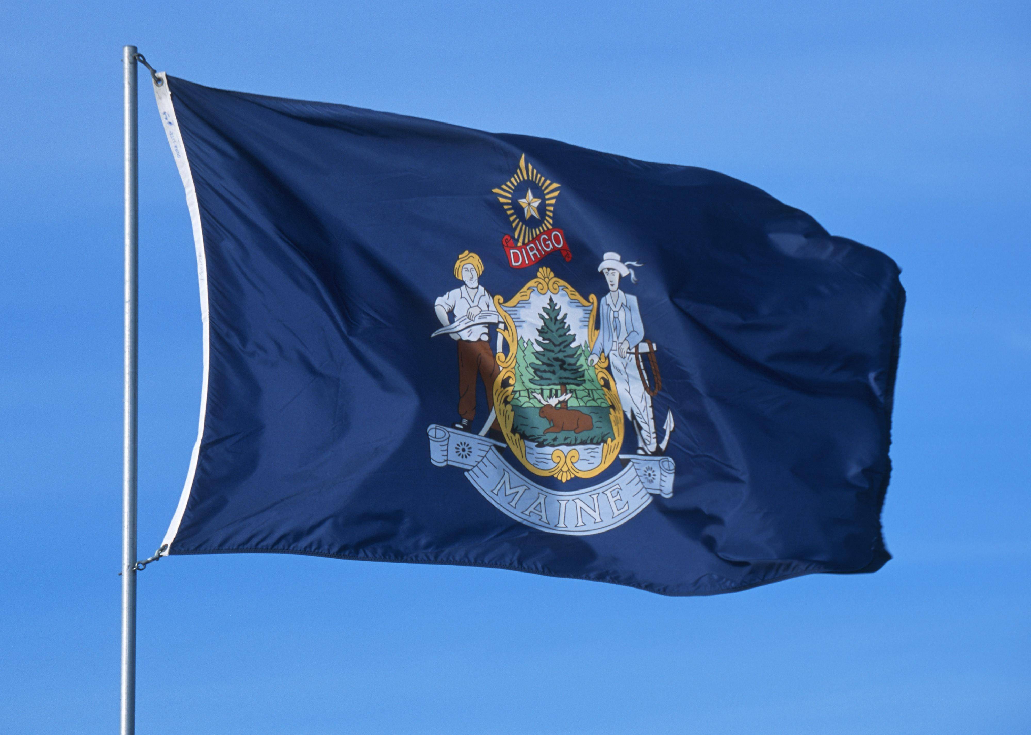 Flag #19