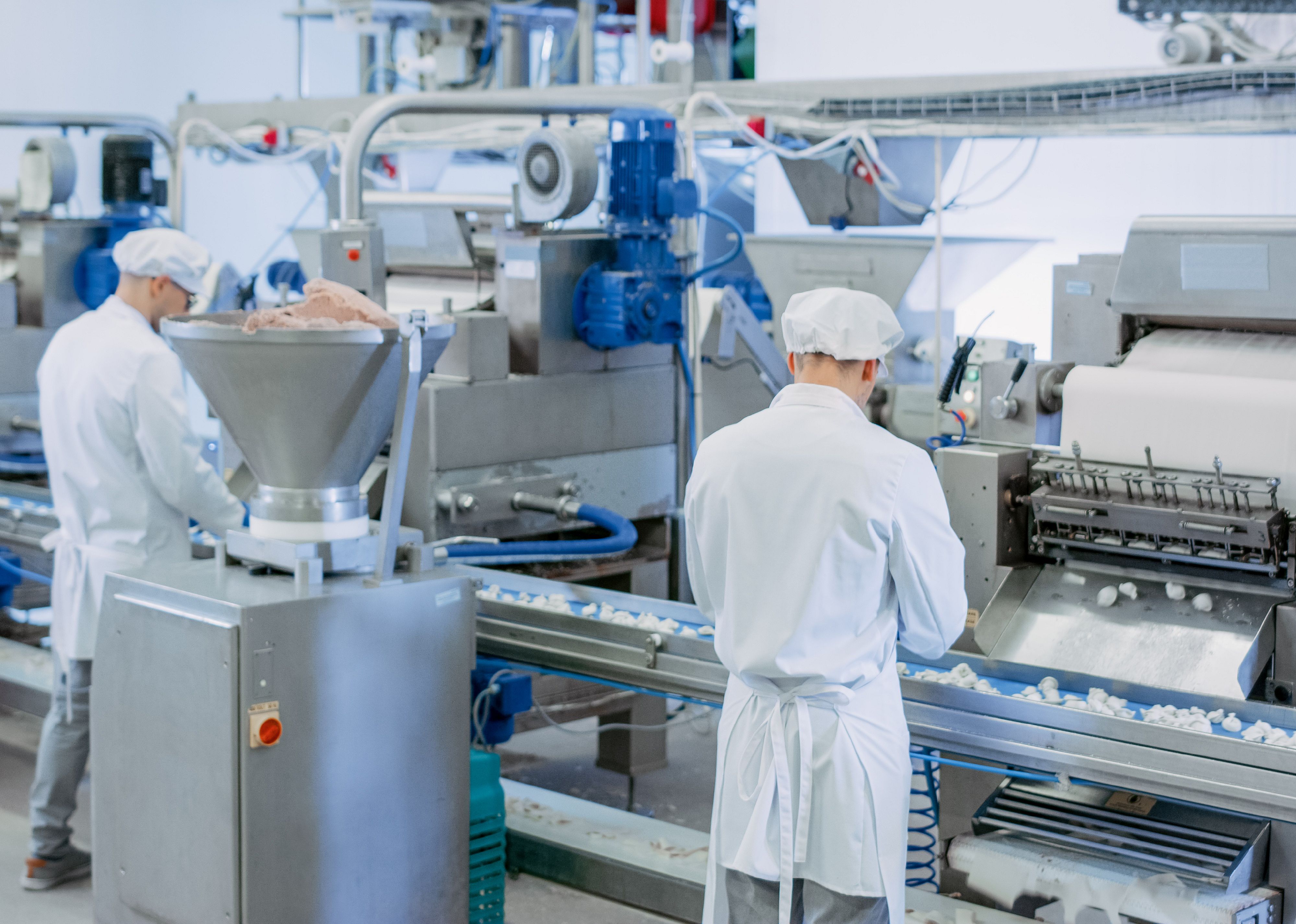 Food processing workers at a plant