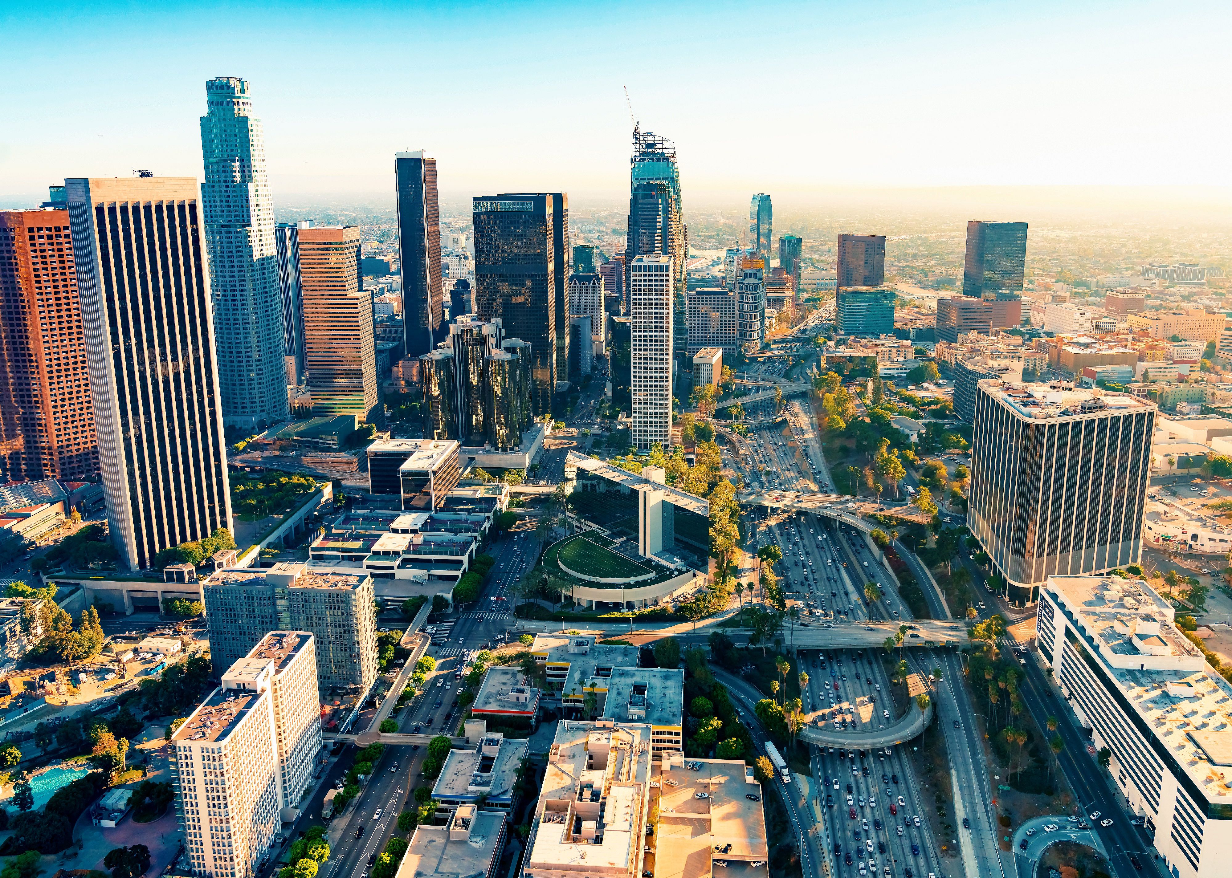 University of California, Los Angeles