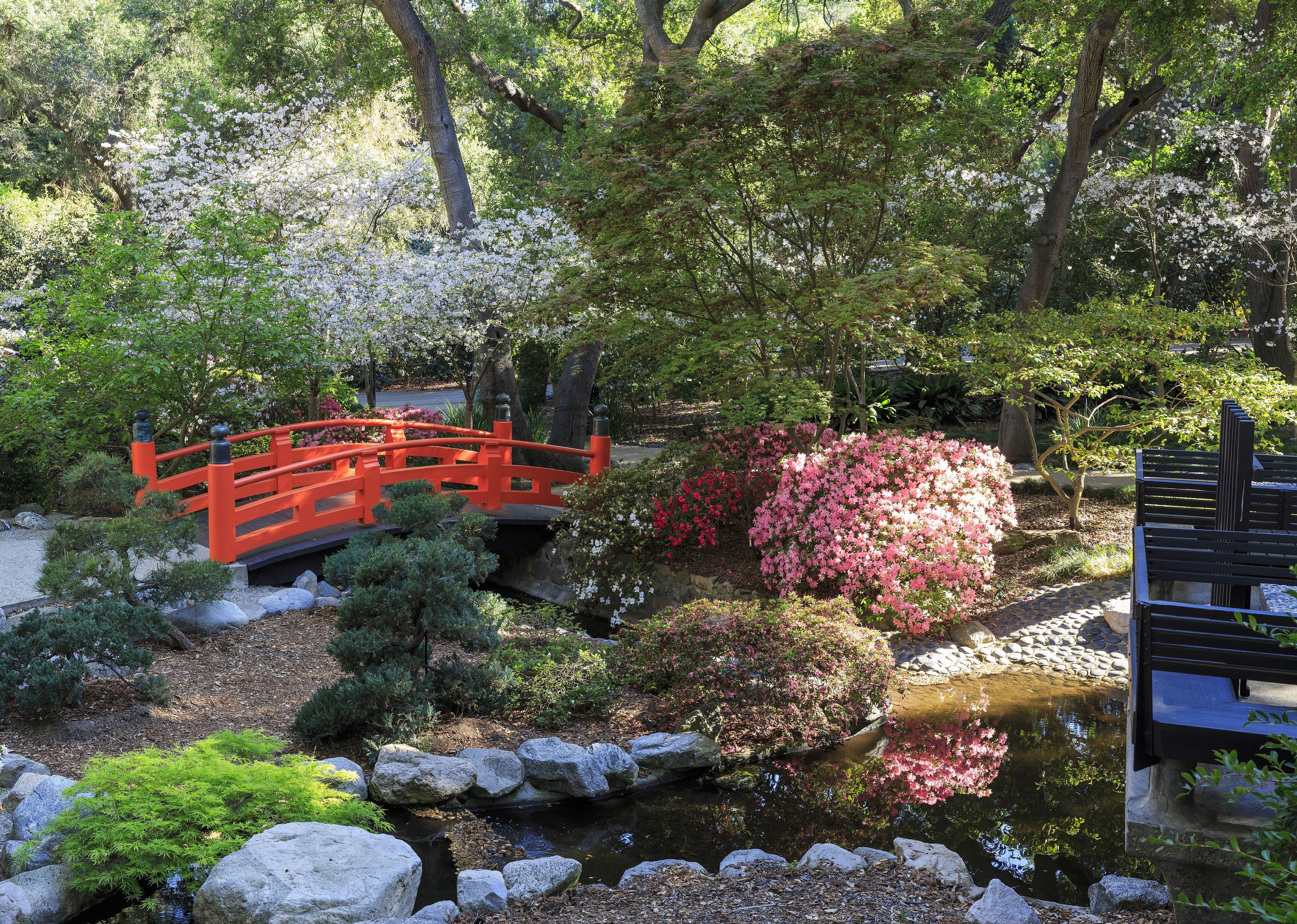 Japanese garden at Descanso Garden, Los Angeles