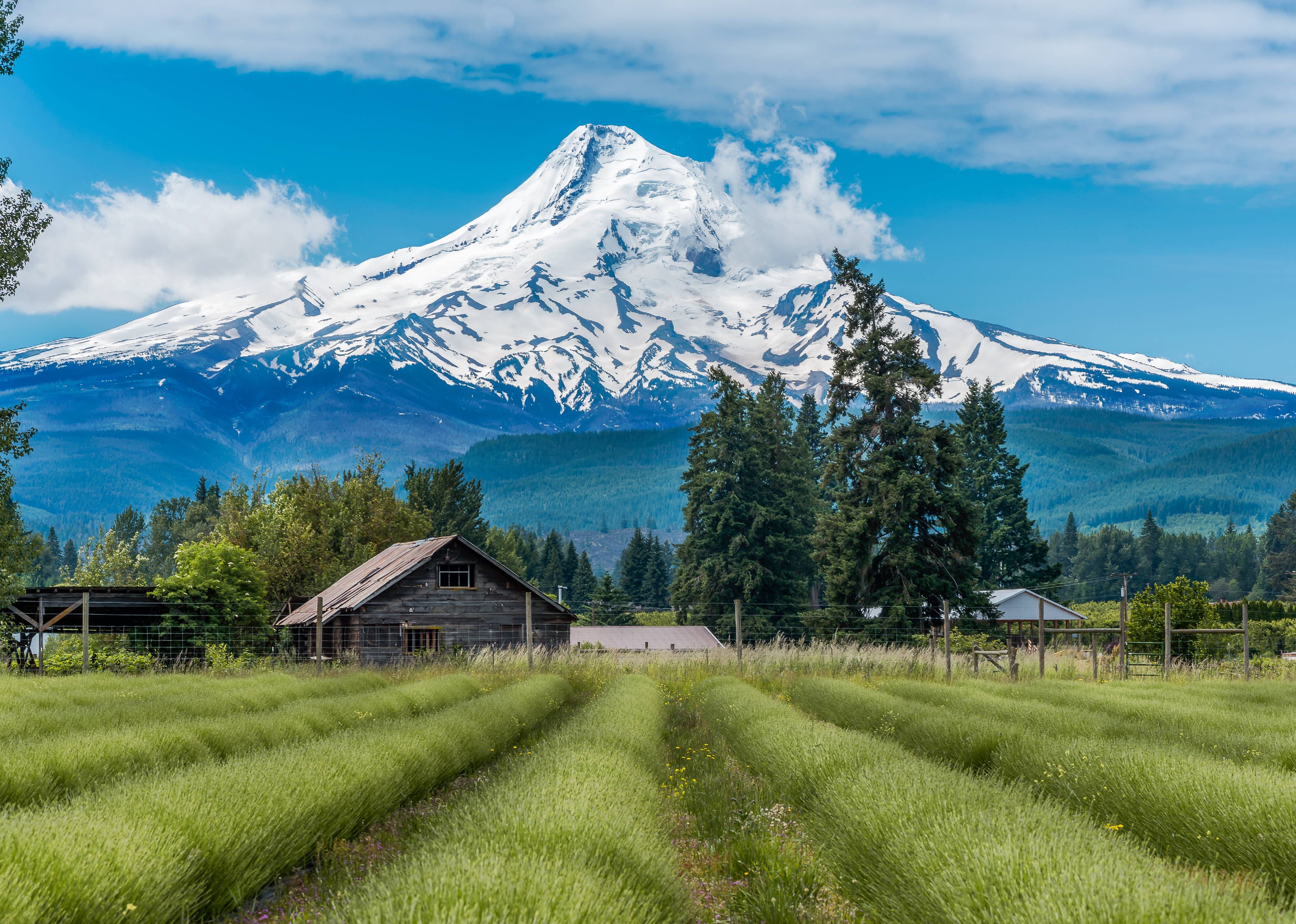 Oregon