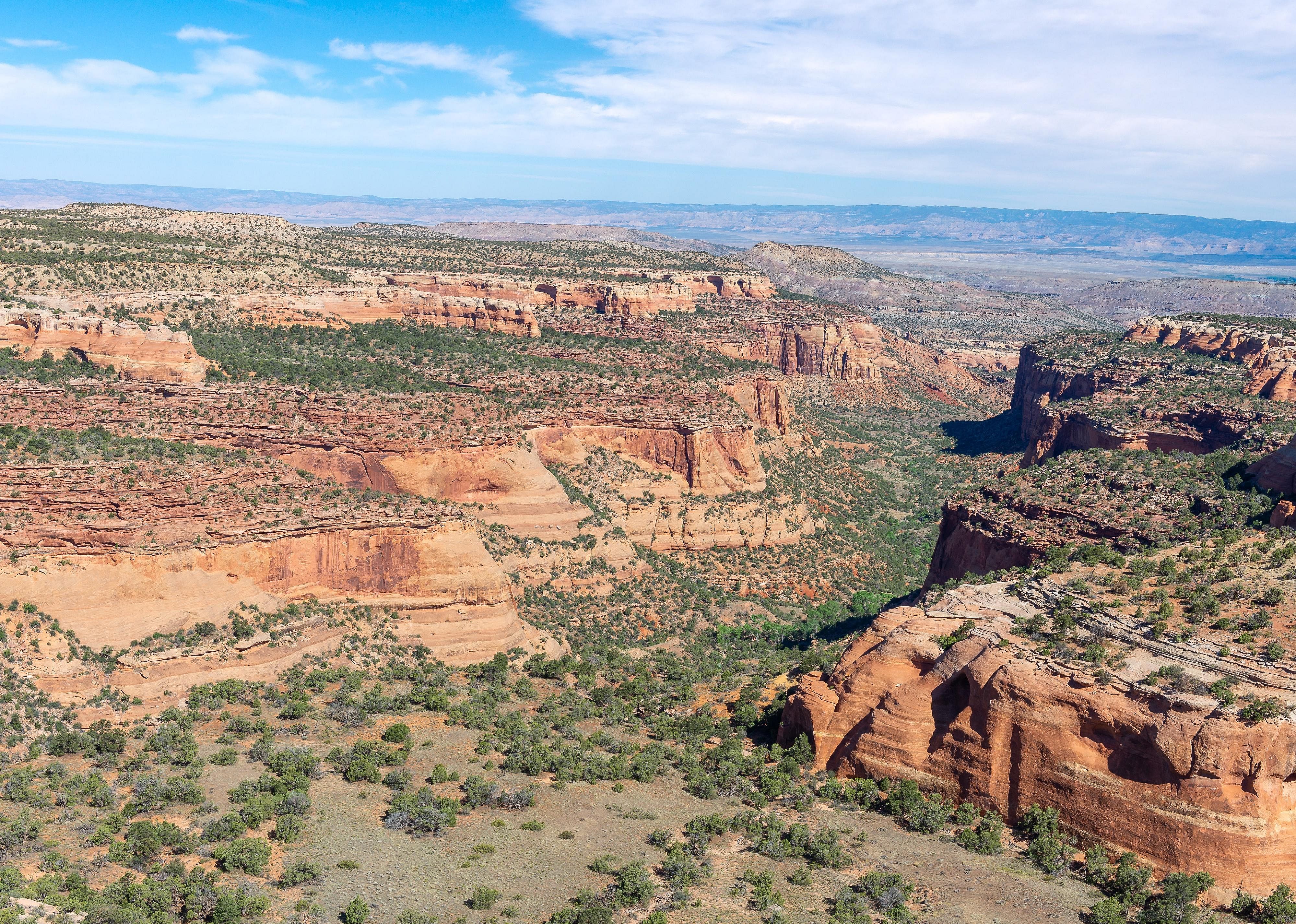 Colorado: Redlands