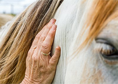 From equine to play: 10 nontraditional therapies