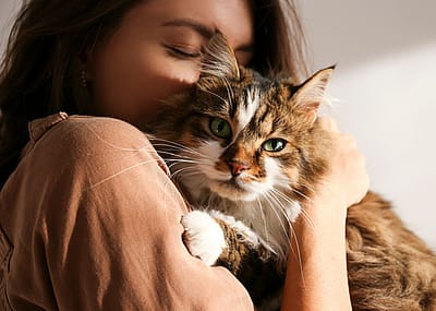 Woman holding Siberian cat
