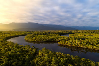 10 biggest dangers to the Amazon rainforest
