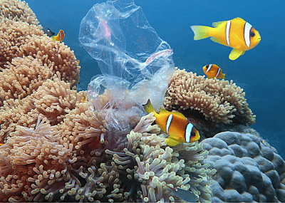 Common household items that are actually bad for the environment