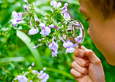 30 citizen science projects looking for volunteers to help protect our environment