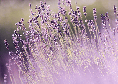 15 natural ways to improve your sleep