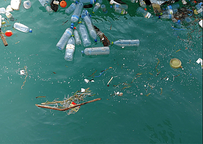 Water quality at America's beaches