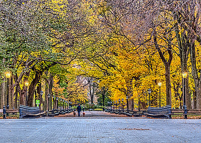 Major cities with the most accessible public parks