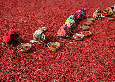 Stunning images of farming around the world