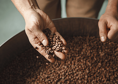 A roaster's hand inspecting freshly roasted coffee beans
