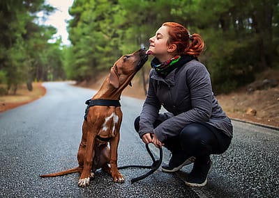 Rhodesian ridgeback gives owner a kiss on a hike.