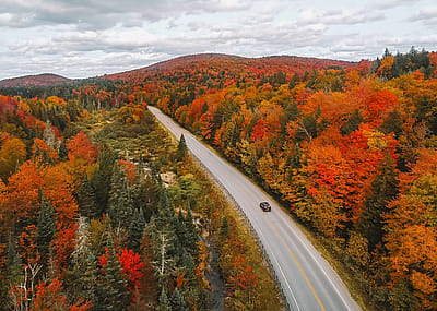 Drone shot of a car driving through fall foliage in New England