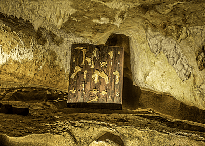 Anthropologic discoveries the year you were born