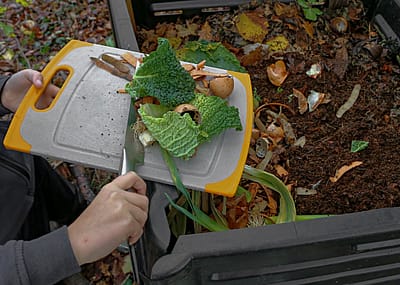 A person scraping vegetable scraps from a cutting board into a compost bin outdoors. The scraps include leafy greens, onion peels and eggshells.