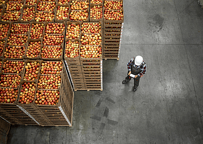 A worker standing by apple fruit crates ready for shipping in an organic food factory warehouse.
