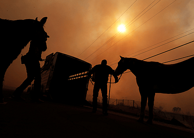 Smoky silhouettes of horses being loaded into a trailer in a fire.