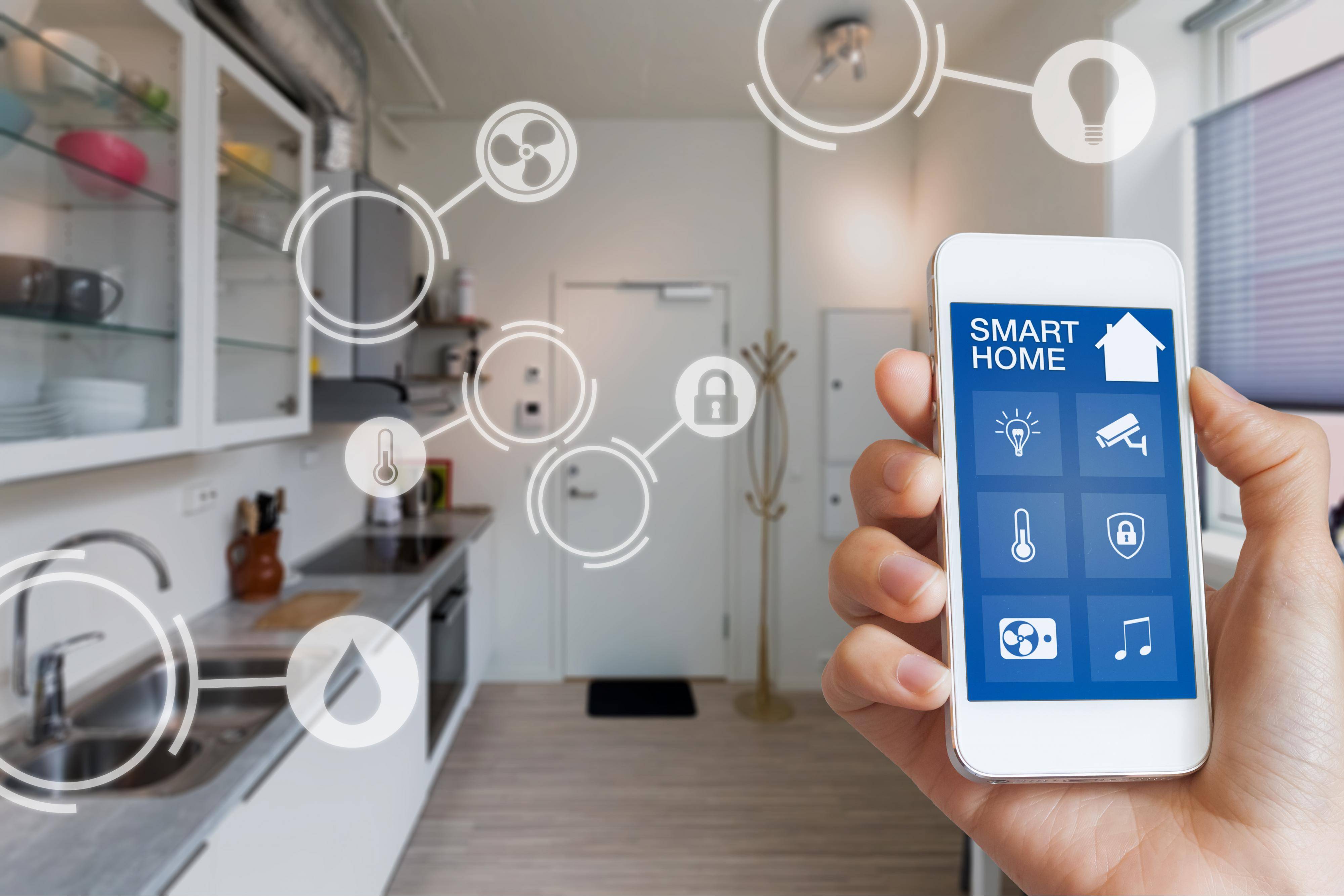 Internet of things (IoT)