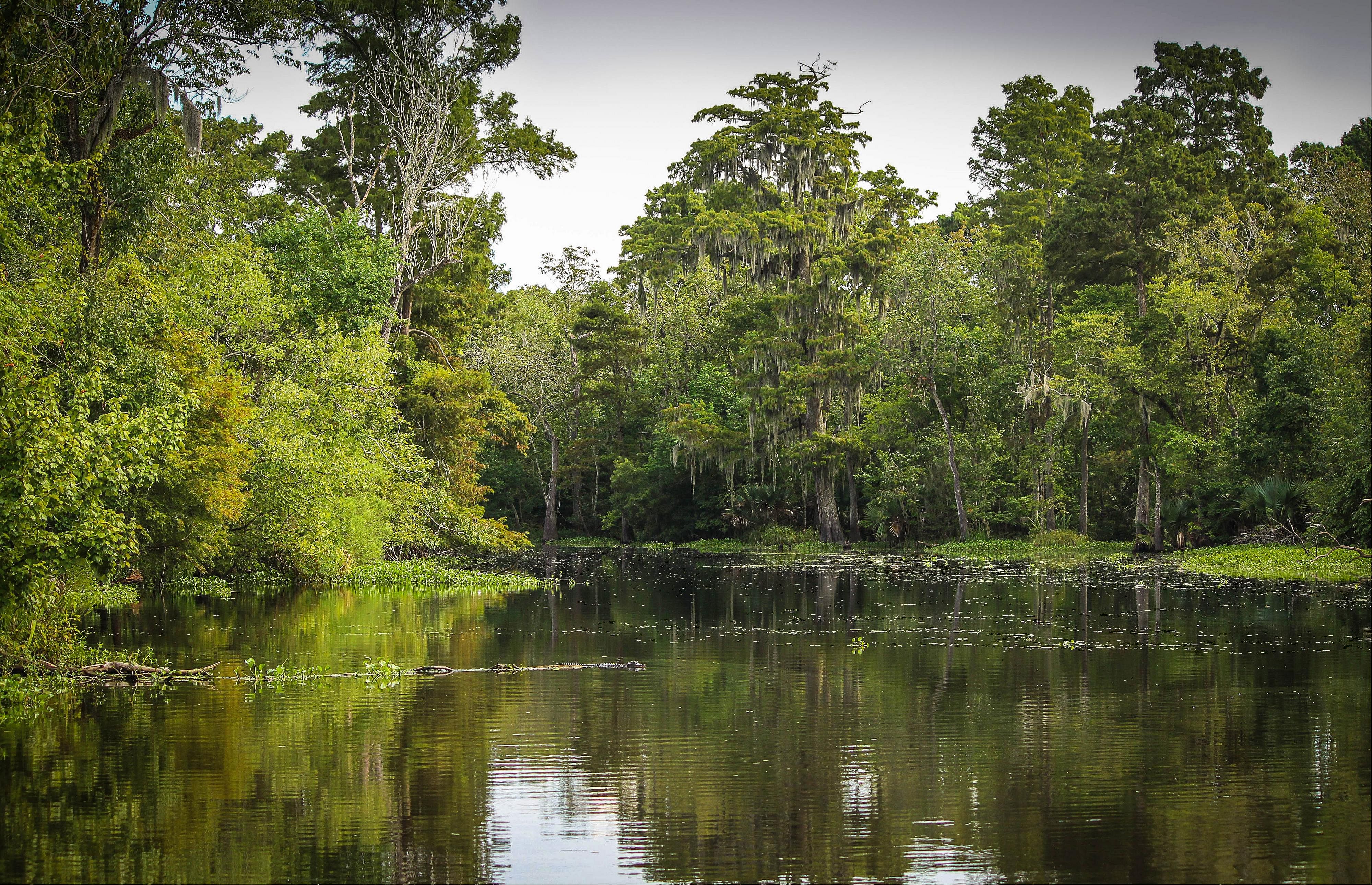Louisiana