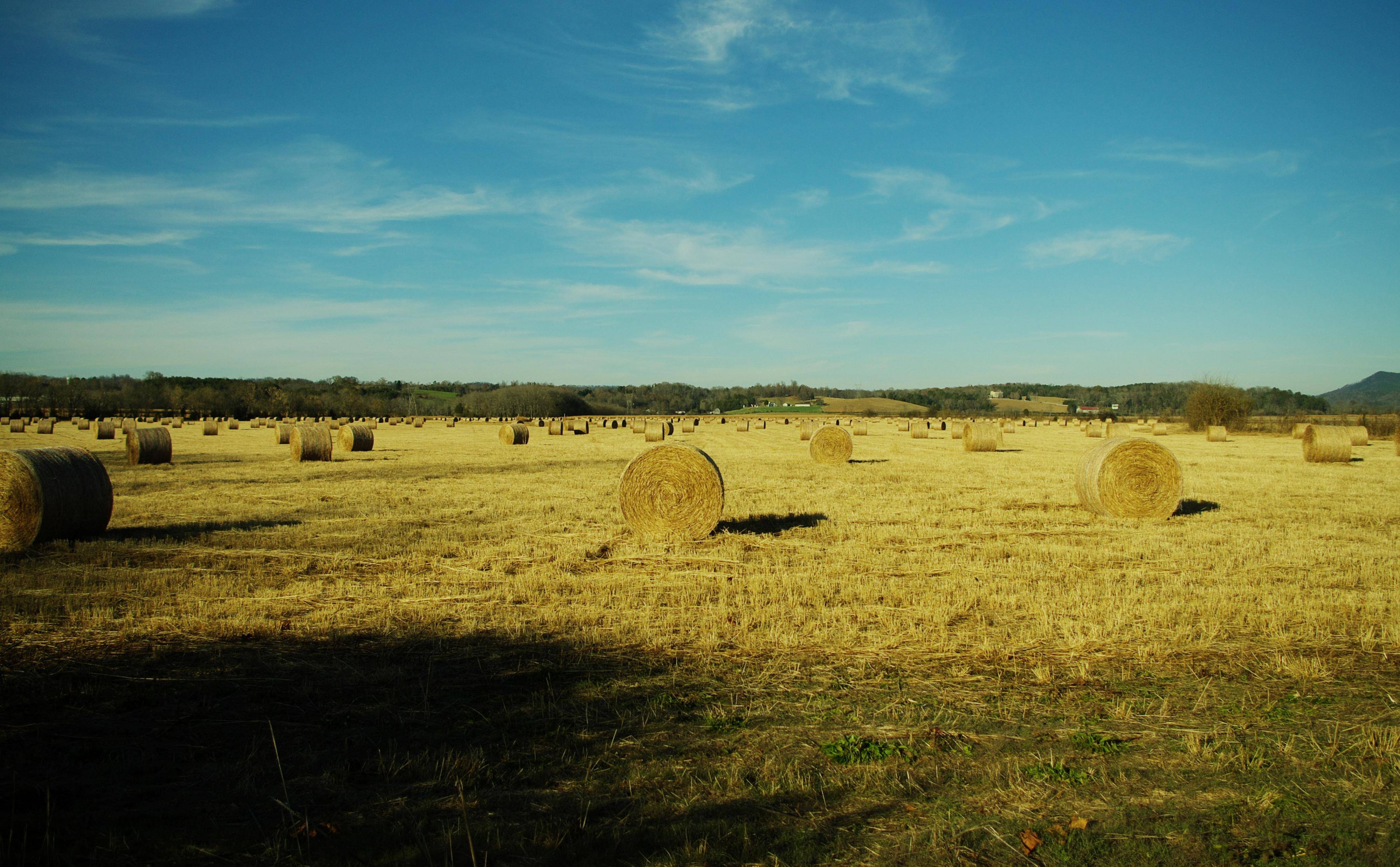 State: Oklahoma