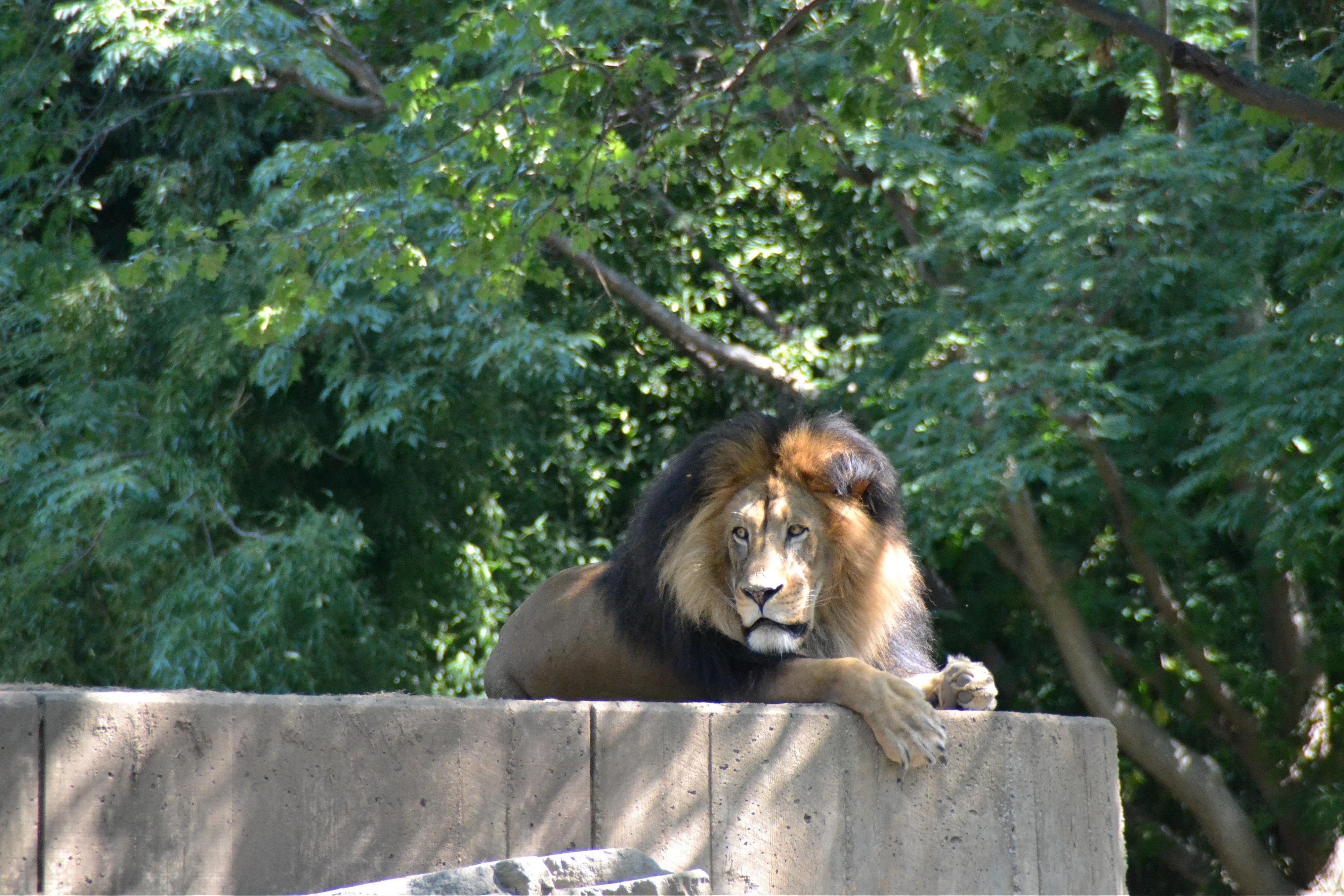 District of Columbia: Smithsonian’s National Zoo