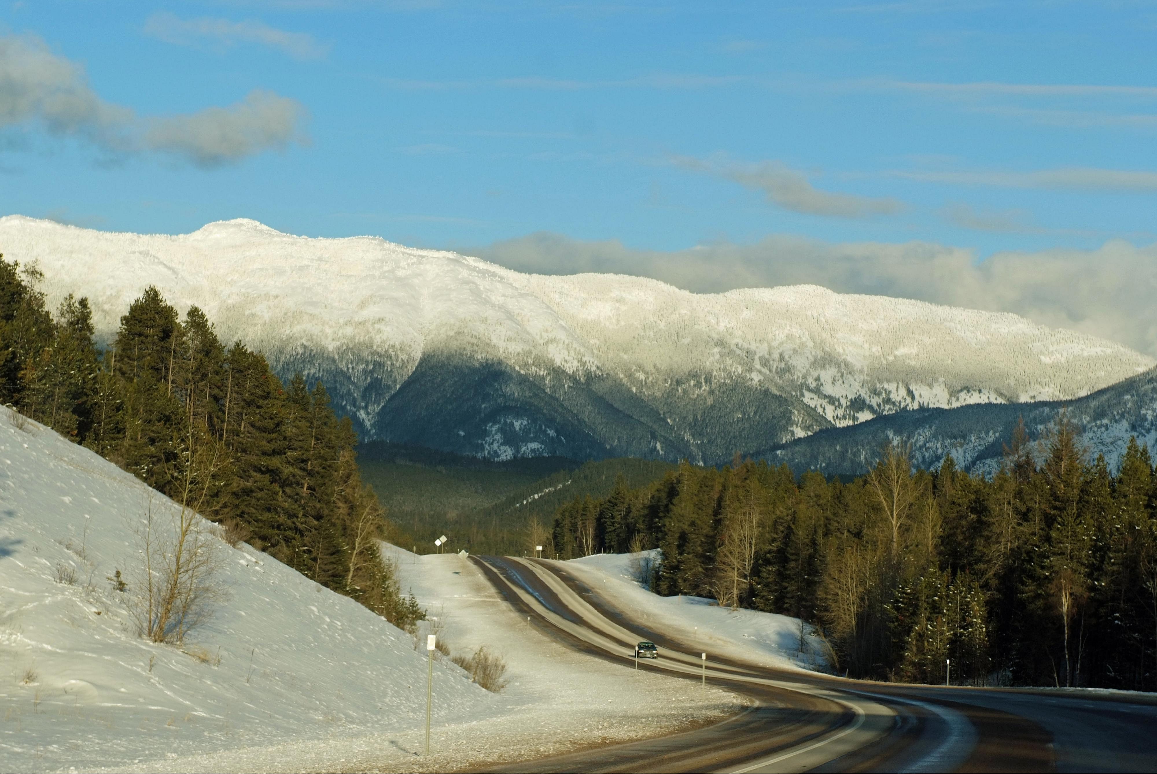 #51. Montana