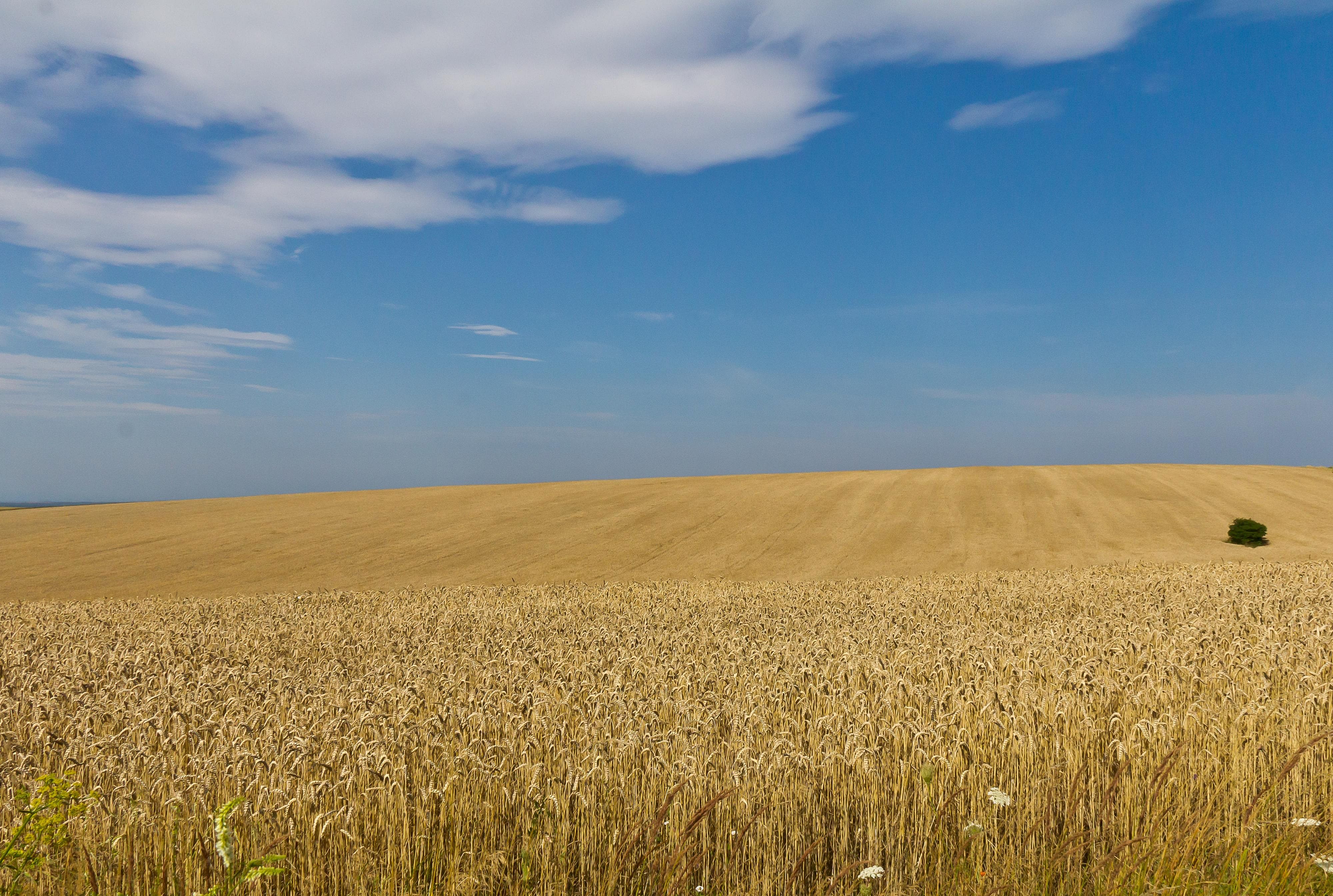 Country #1