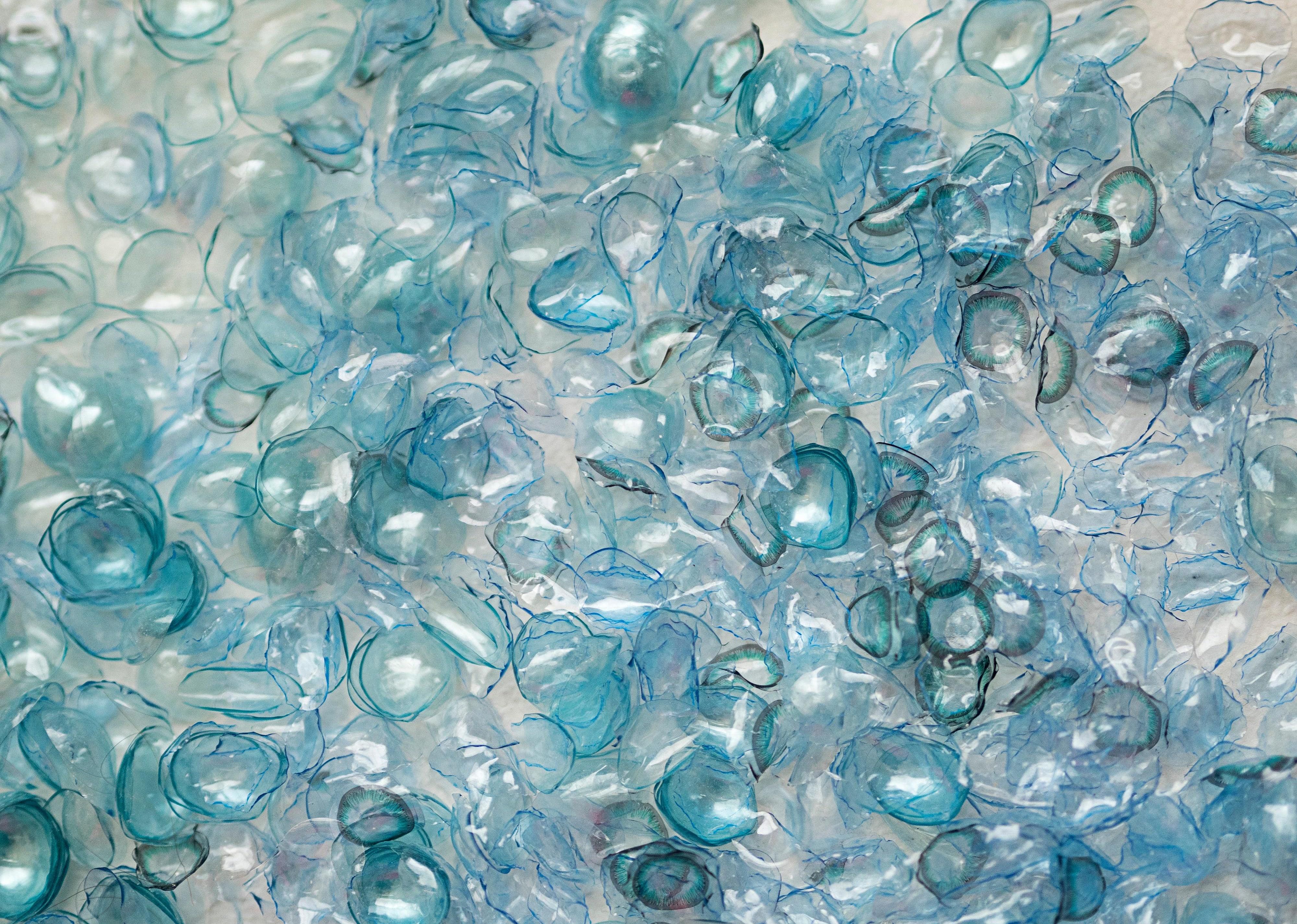 1987: Disposable contact lenses