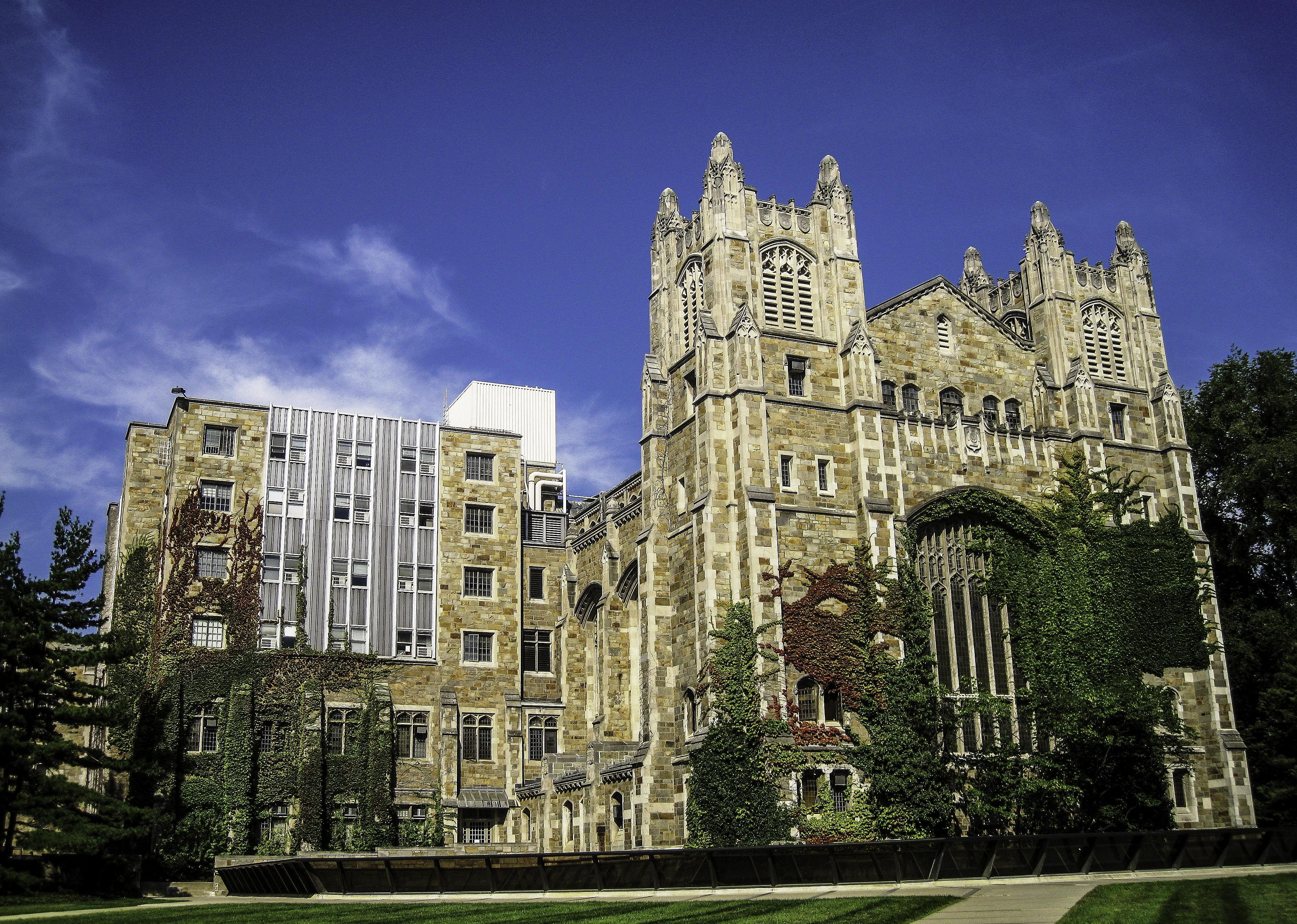 #24. Michigan