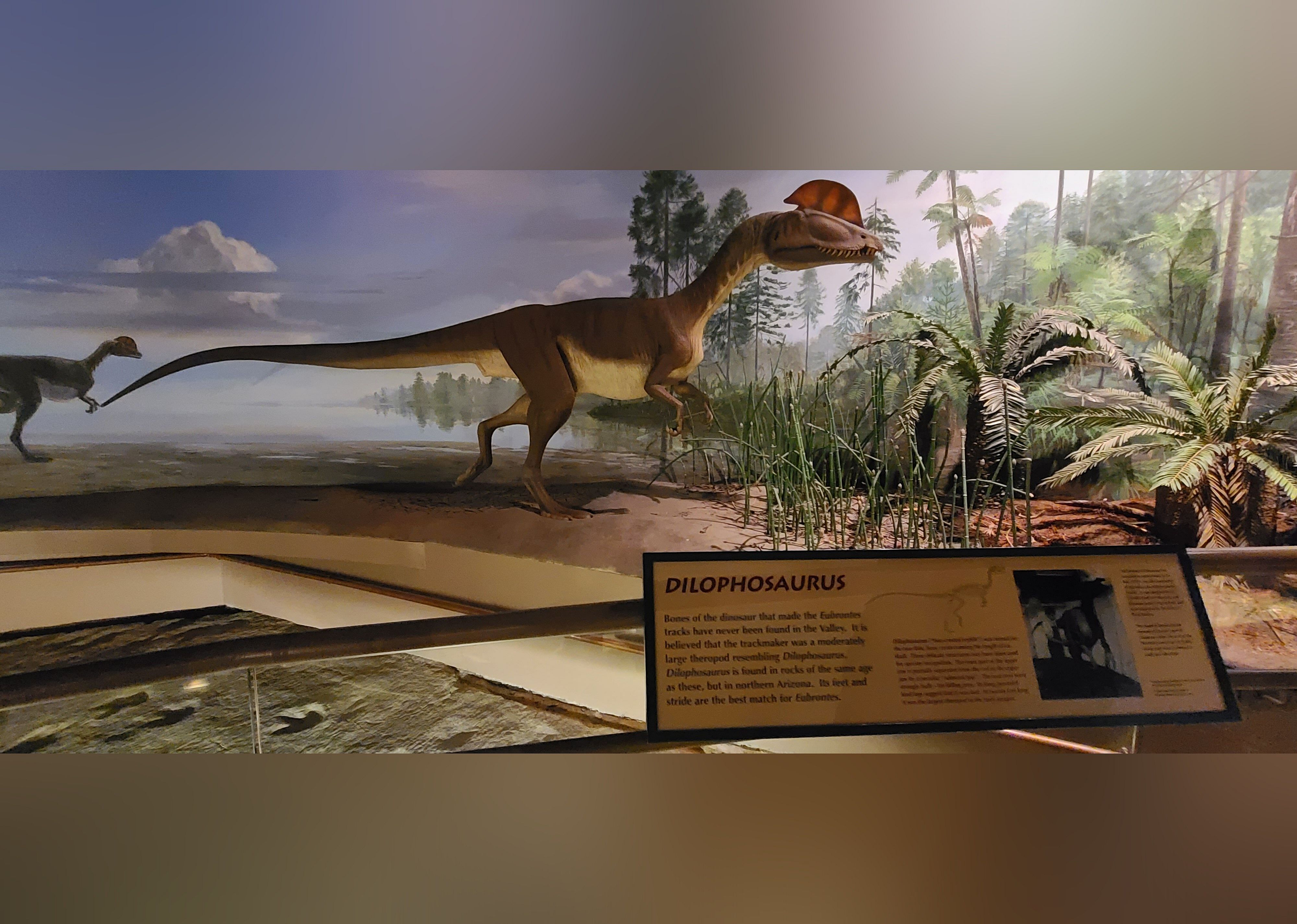 #6. Dinosaur State Park & Arboretum