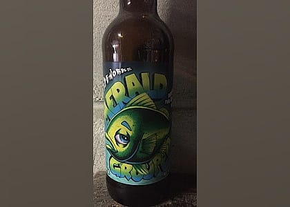 #6. Emerald Grouper