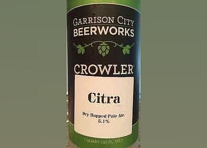 #21. Citra Dry-hopped Pale