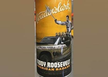 #7. Teddy Roosevelt American Badass