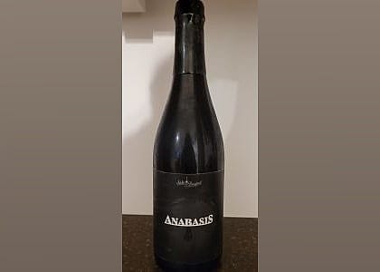 #5. Anabasis