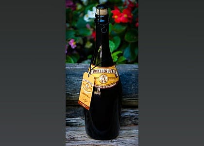 #9. Noble Star Collection: Starkeller Peach