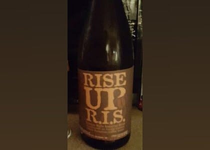#12. Rise Up RIS