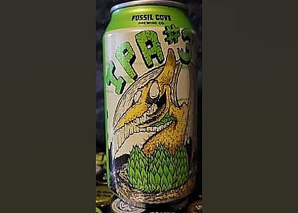 #30. IPA #3