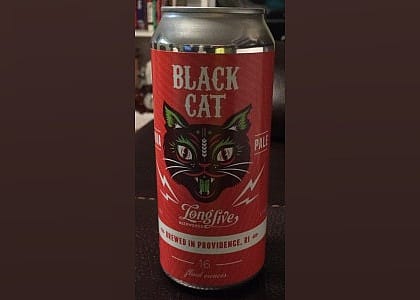 #17. Black Cat